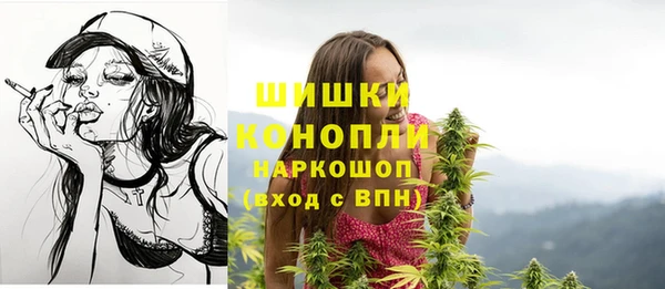 spice Белокуриха